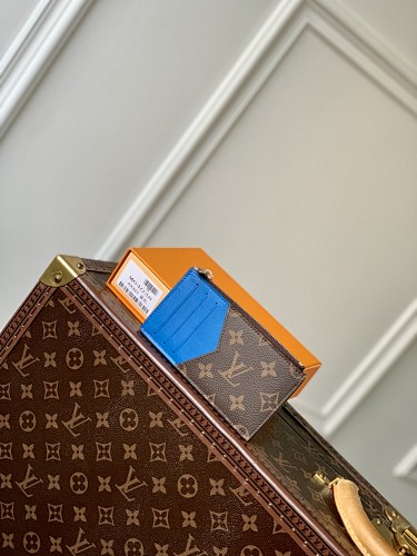 Louis Vuitton card holder