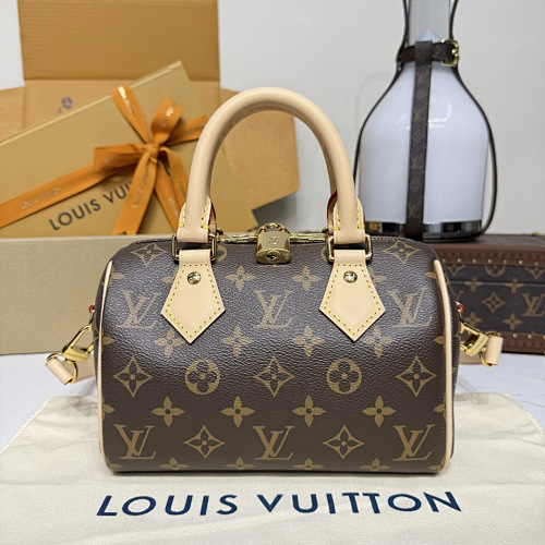 Louis Vuitton bag