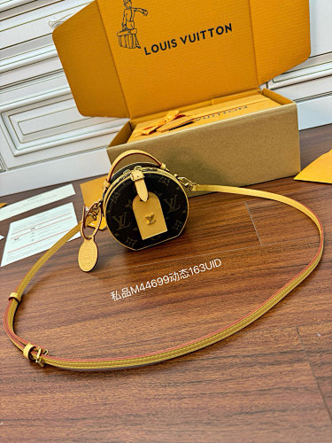 Louis Vuitton bag
