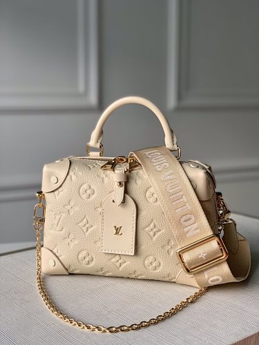 Louis Vuitton travel bag