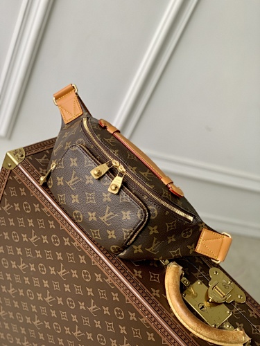 Louis Vuitton belt bag