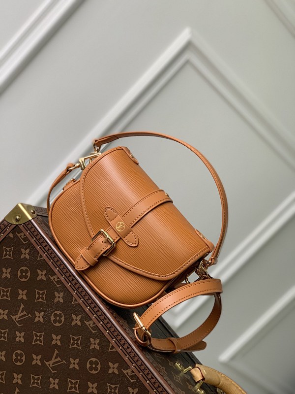 Louis Vuitton saddle bag
