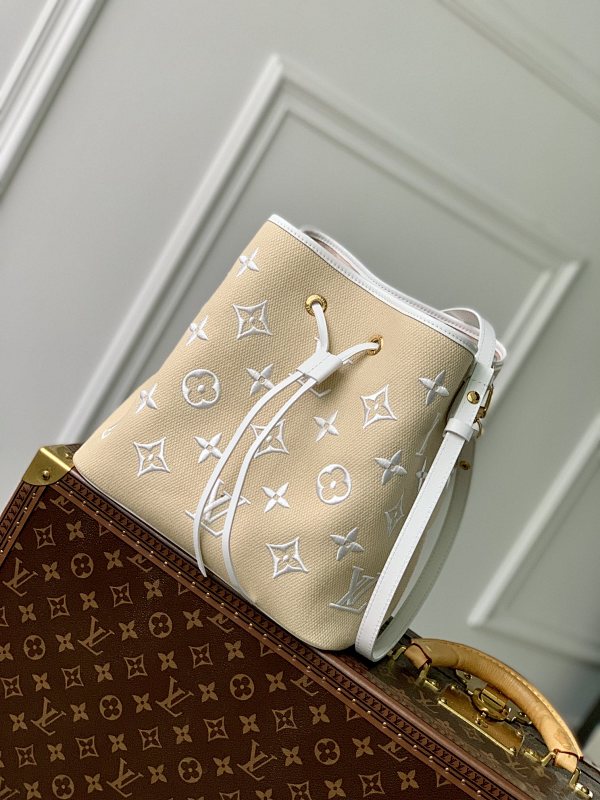 Louis Vuitton bag