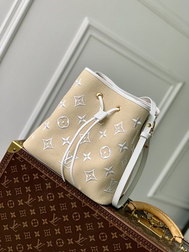 Louis Vuitton bag