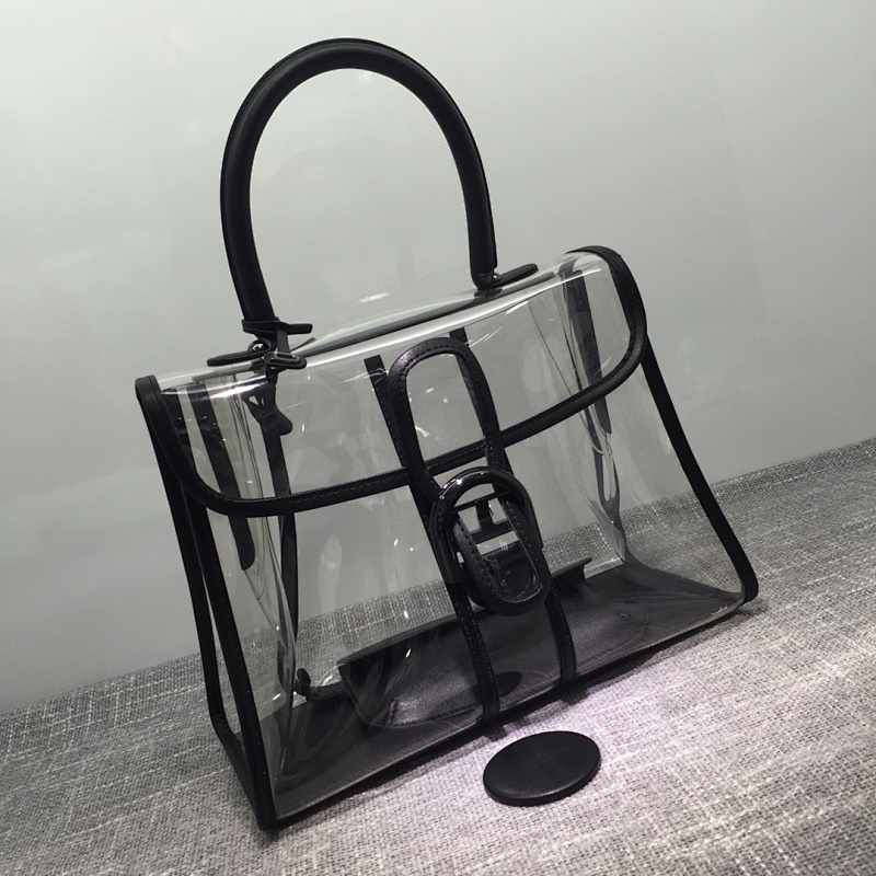 Delvaux X-ray Bag