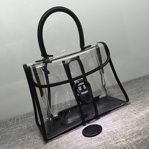 Delvaux X-ray Bag
