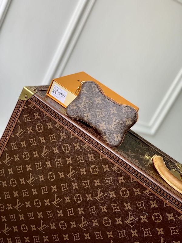 Louis Vuitton bag