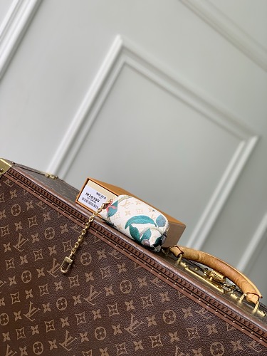 Louis Vuitton bag