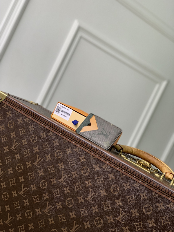 Louis Vuitton card holder