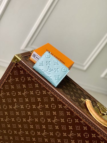 Louis Vuitton clutch