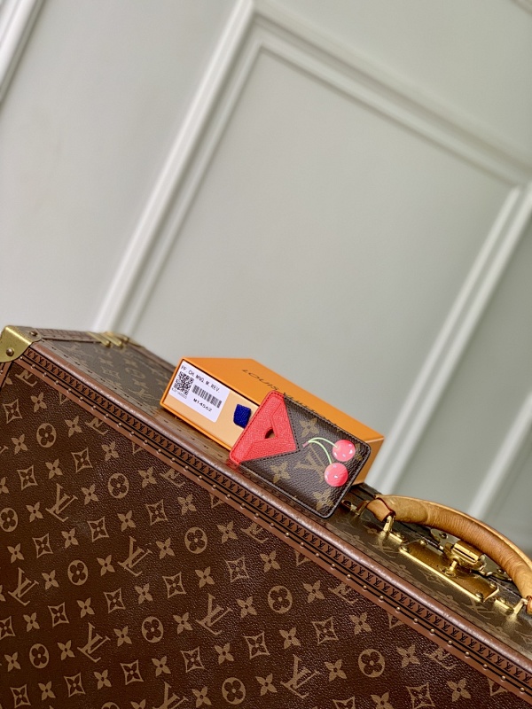 Louis Vuitton card holder