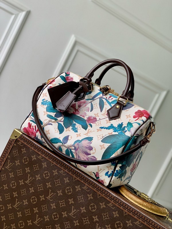 Louis Vuitton bag
