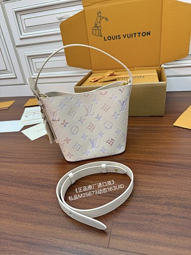 Louis Vuitton bag