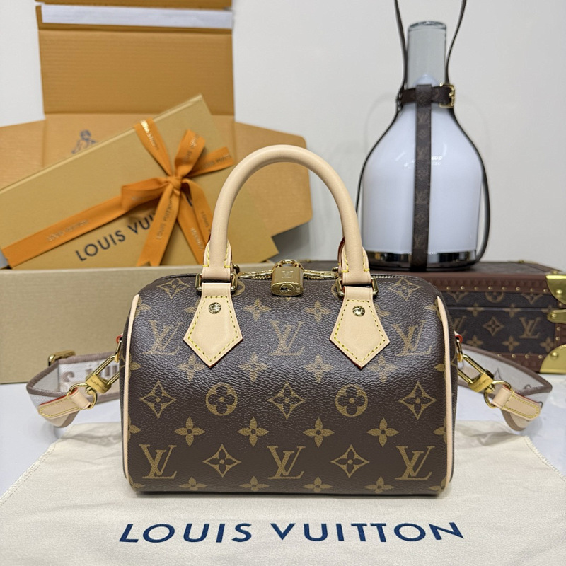 Louis Vuitton bag