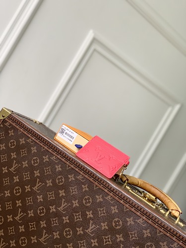Louis Vuitton card holder