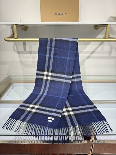 Burberry bag