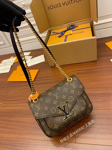 Louis Vuitton bag