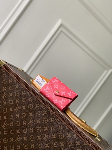 Louis Vuitton wallet