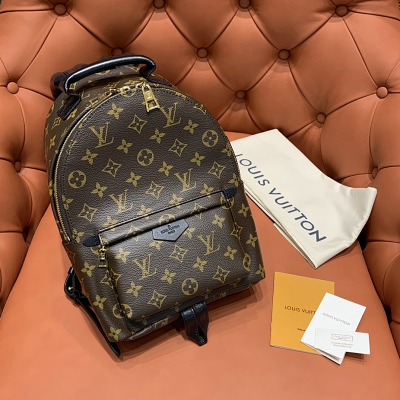 Louis Vuitton backpack