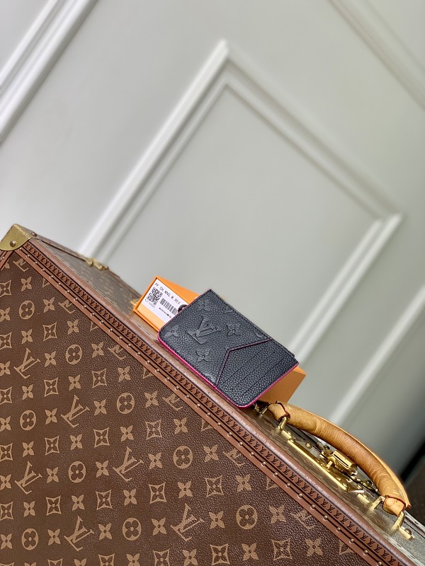 Louis Vuitton card holder