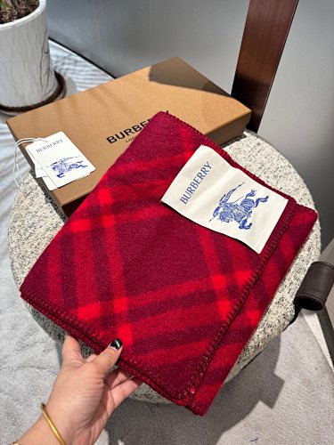 Burberry scarf