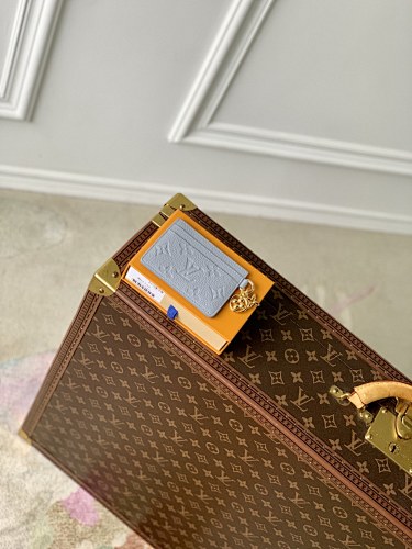 Louis Vuitton card holder