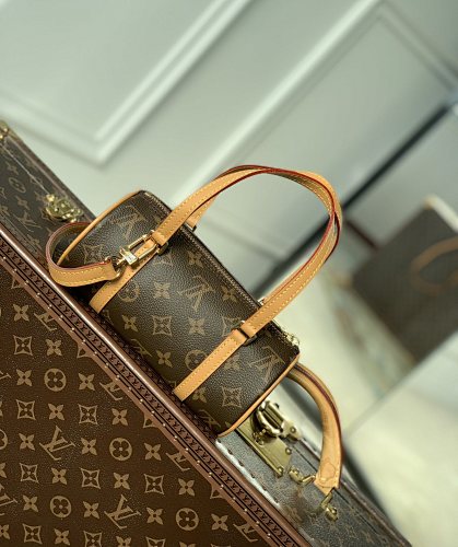 Louis Vuitton bag