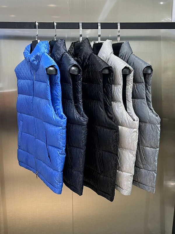 Down Vest