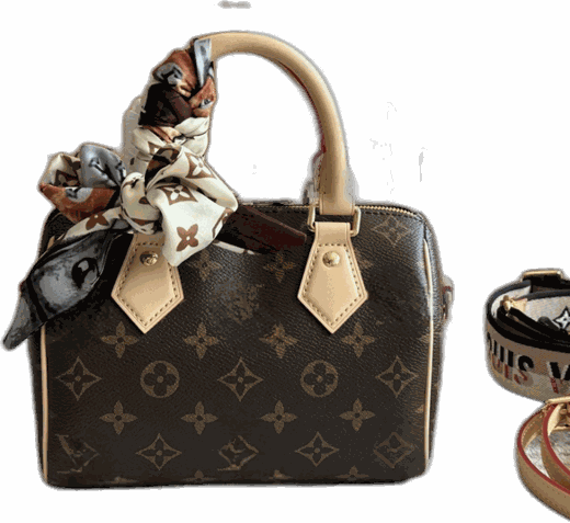Louis Vuitton Speedy
