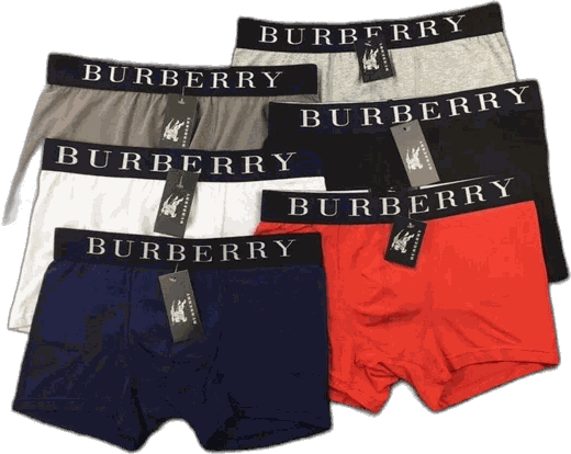 Burberry boxer briefs