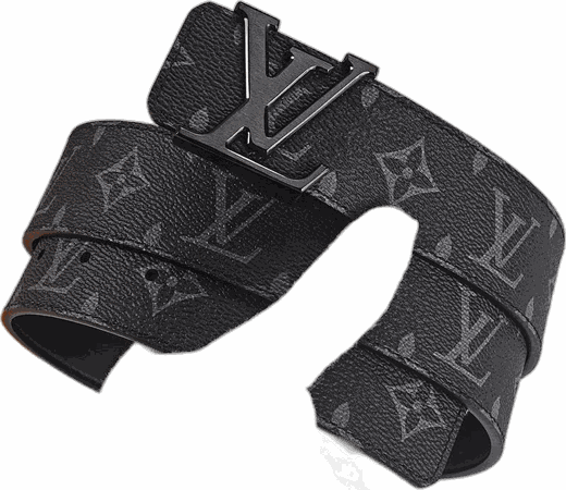 Louis Vuitton monogram belt